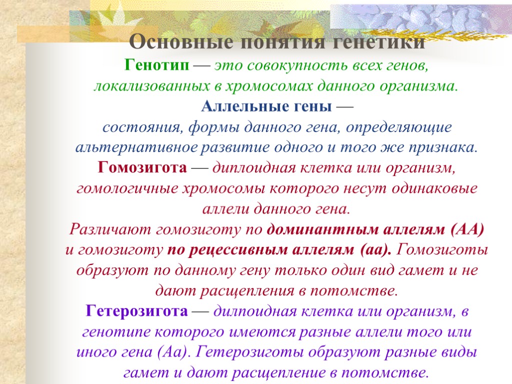 Основные понятия генетики Генотип — это совокупность всех генов, локализованных в хромосомах данного организма.